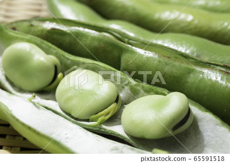 美味蠶豆（也稱為綠豆，堅果，豆類，大豆，小扁豆，學名：Vicia 65591518