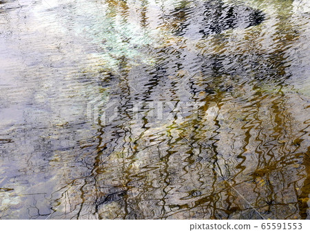 大正池中反映出的樹木 65591553