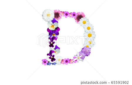 花字母(花字體,春天的花朵):字母D 花字母(花字體,春天的花朵):字母D 65591902