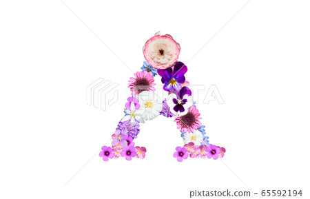 花字母（使用春天的花朵的字母A），血型A 65592194