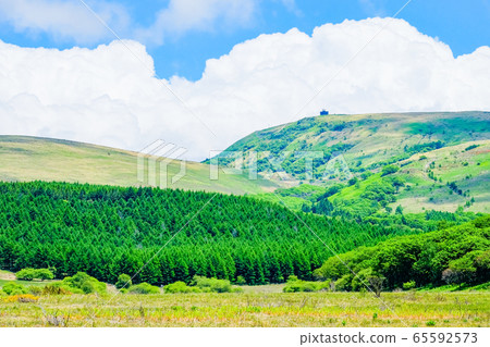 Scenery of Shinshu Yashimagahara Wetland (Yashima Wetland): June Scenery of Shinshu Yashimagahara Wetland (Yashima Wetland): June 65592573