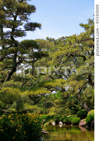 Migratory garden 65593009