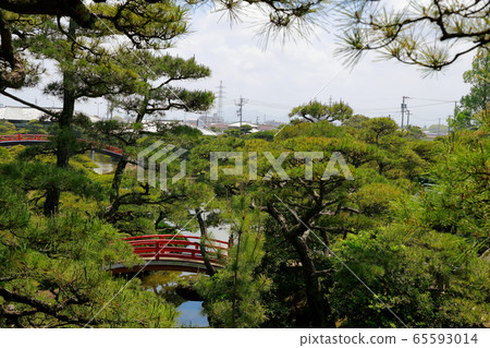 Migratory garden 65593014