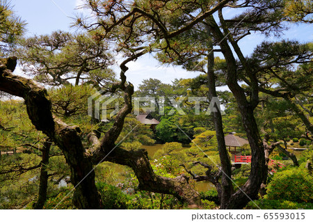 Migratory garden 65593015