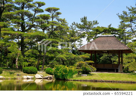 Japanese garden 65594221