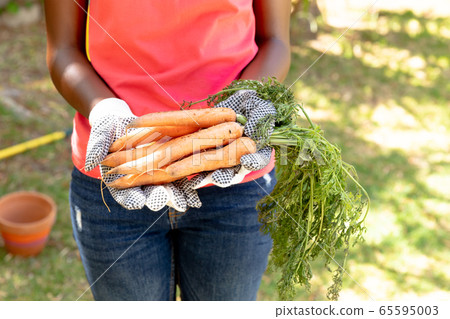 African American woman wearing gloves and presenting fresh carrots African American woman wearing gloves and presenting fresh carrots 65595003