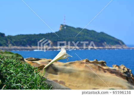 駱駝岩 65596138