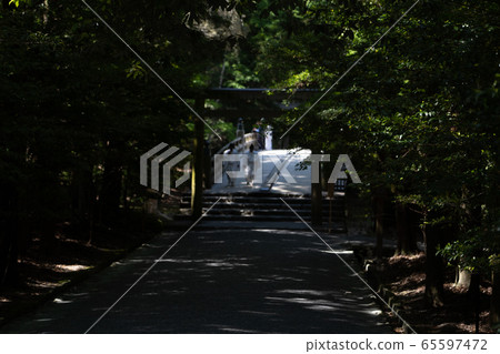 Ise Shrine in early summer Ise Shrine in early summer 65597472