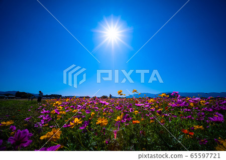 藤原宮遺址的宇宙 65597721