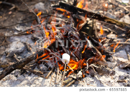 Camping bonfire, frying marshmallows at the stake 65597885