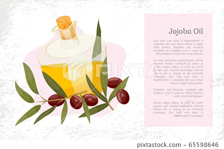 Information About Jojoba Oil in Vessel, Liquid 65598646