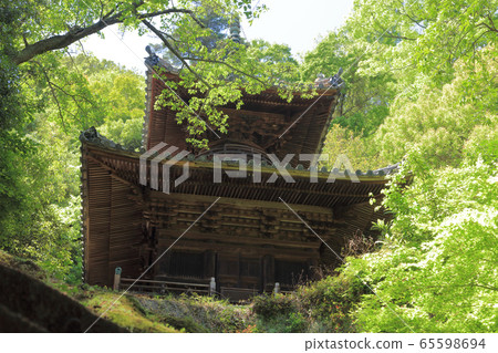 71st Shikoku Sacred Site "Miyadera" Tahoto and fresh greenery 65598694
