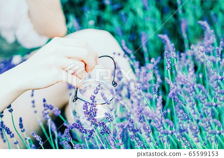A beautiful female hand holding a transparent candle holder with a burning candle on the lavender field A beautiful female hand holding a transparent candle holder with a burning candle on the lavender field 65599153