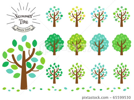 Tree_summer Tree_summer 65599530