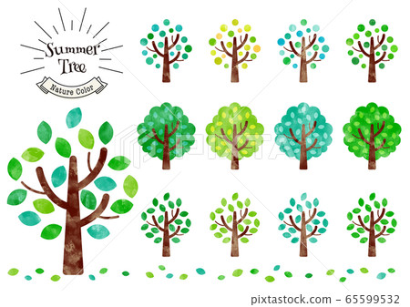 Tree_summer_watercolor Tree_summer_watercolor 65599532