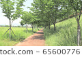 In May 65600776