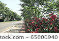 In May 65600940