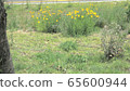 In May 65600944