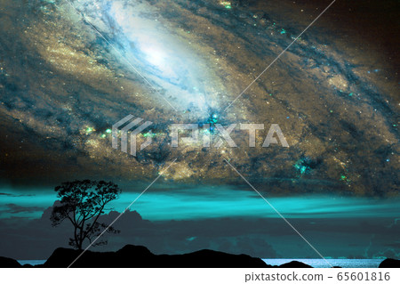silhouette dry tree in the field and galaxy on silhouette dry tree in the field and galaxy on 65601816