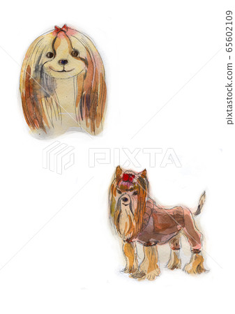 Small dogs Small dogs 65602109