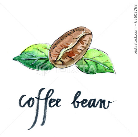 Coffee bean with green leaves Coffee bean with green leaves 65602768