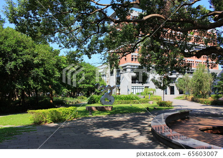 台灣大學校園 台灣大學校園 65603007