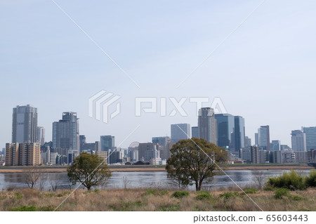 淀川河岸和對岸風景 65603443