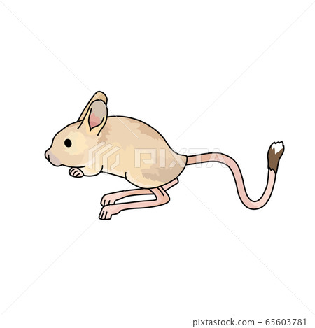 Shrew Shrew 65603781