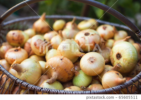 Colorful onions in a basket 65605511