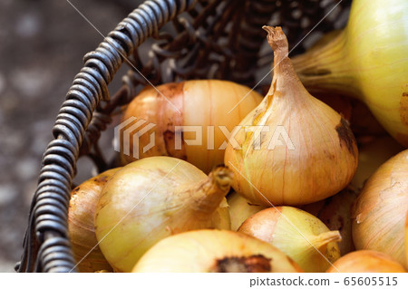 Farmers bulb onion in basket 65605515