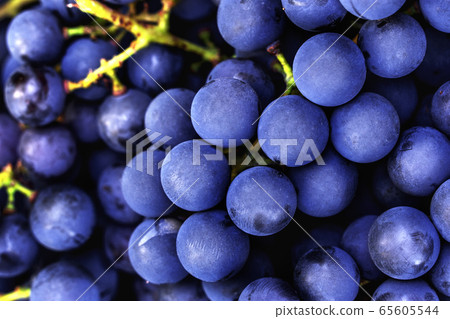 Dark blue ripe grapes for making red wine macro Dark blue ripe grapes for making red wine macro 65605544