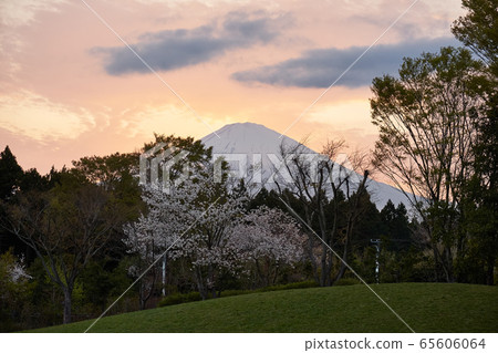 靜岡縣富士山從足柄服務區黃昏 靜岡縣富士山從足柄服務區黃昏 65606064