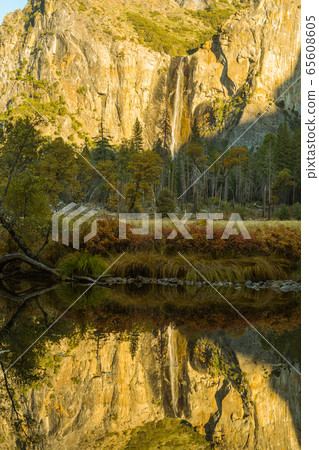 The Bridalveil Fall and its reflection in the Merced River at sunset in Yosemite National Park, California, USA. 65608605