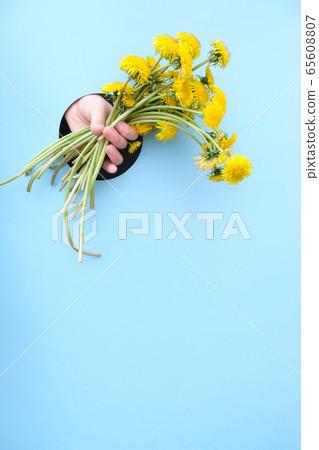 Bouquet of yellow dandelions flowers on blue 65608807