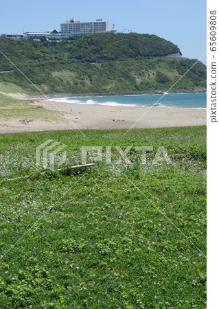 從海灘俯瞰酒店的Koiji Road 從海灘俯瞰酒店的Koiji Road 65609808