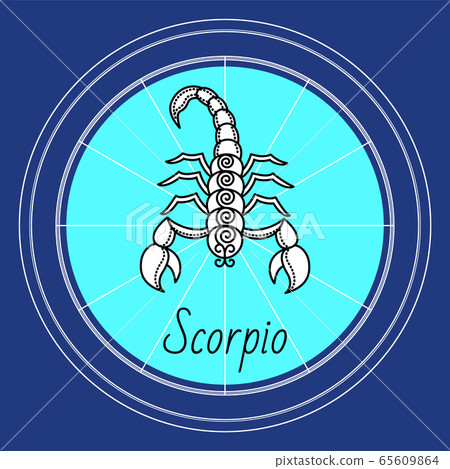 Scorpio Zodiac Sign Astrology and Horoscope Vector 65609864