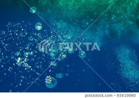 Top view on scuba divers group swimming who exploring deep dark ocean blue water near a coral reef. Male and female in flippers examines the seabed. Dive. Active life. Shot through air bubbles. Top view on scuba divers group swimming who exploring deep dark ocean blue water near a coral reef. Male and female in flippers examines the seabed. Dive. Active life. Shot through air bubbles. 65610060