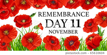 11 November remembrance day poppy flowers 11 November remembrance day poppy flowers 65610604