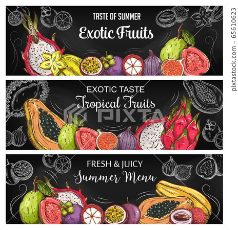 Tropical fruits sketch vector banners Tropical fruits sketch vector banners 65610623