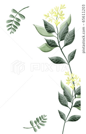Plant layout frame - Stock Illustration [65611203] - PIXTA