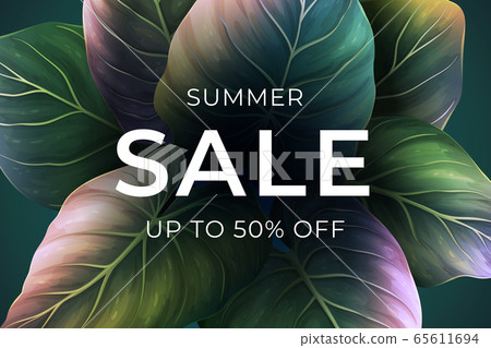 Summer banner with exotic leaves 65611694