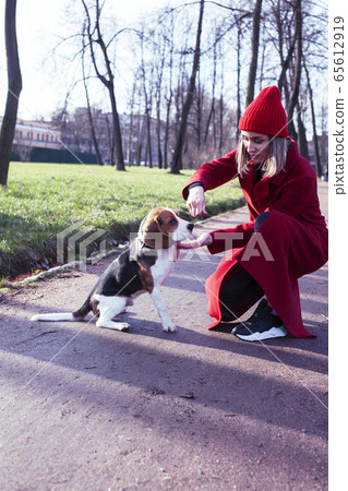 pretty young girl in redd coat playing with dog outside in green park, lifestyle people concept pretty young girl in redd coat playing with dog outside in green park, lifestyle people concept 65612919