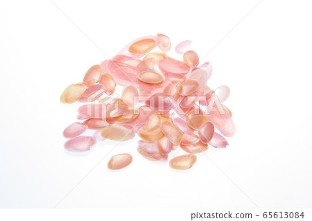 Sakuragishi Sakuragishi 65613084