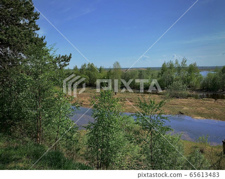 Taiga terrain with birch branches, a river in the Taiga terrain with birch branches, a river in the 65613483