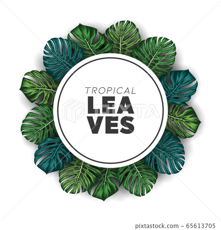 Tropical summer leaves background with jungle plants 65613705