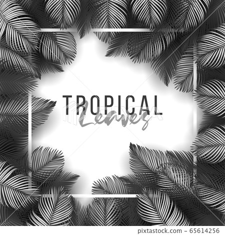 Tropical summer leaves background with jungle plants Tropical summer leaves background with jungle plants 65614256
