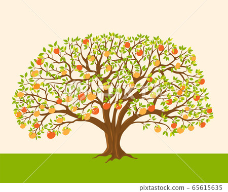 apple tree with red and yellow apples 65615635