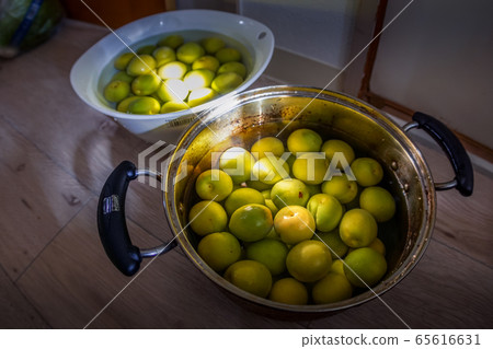 沒有李子的李子的形象 65616631