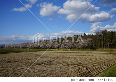 金岡卡歷史公園的月亮環形狀 65617190