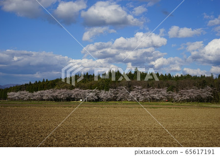 金岡卡歷史公園的月亮環形狀 65617191
